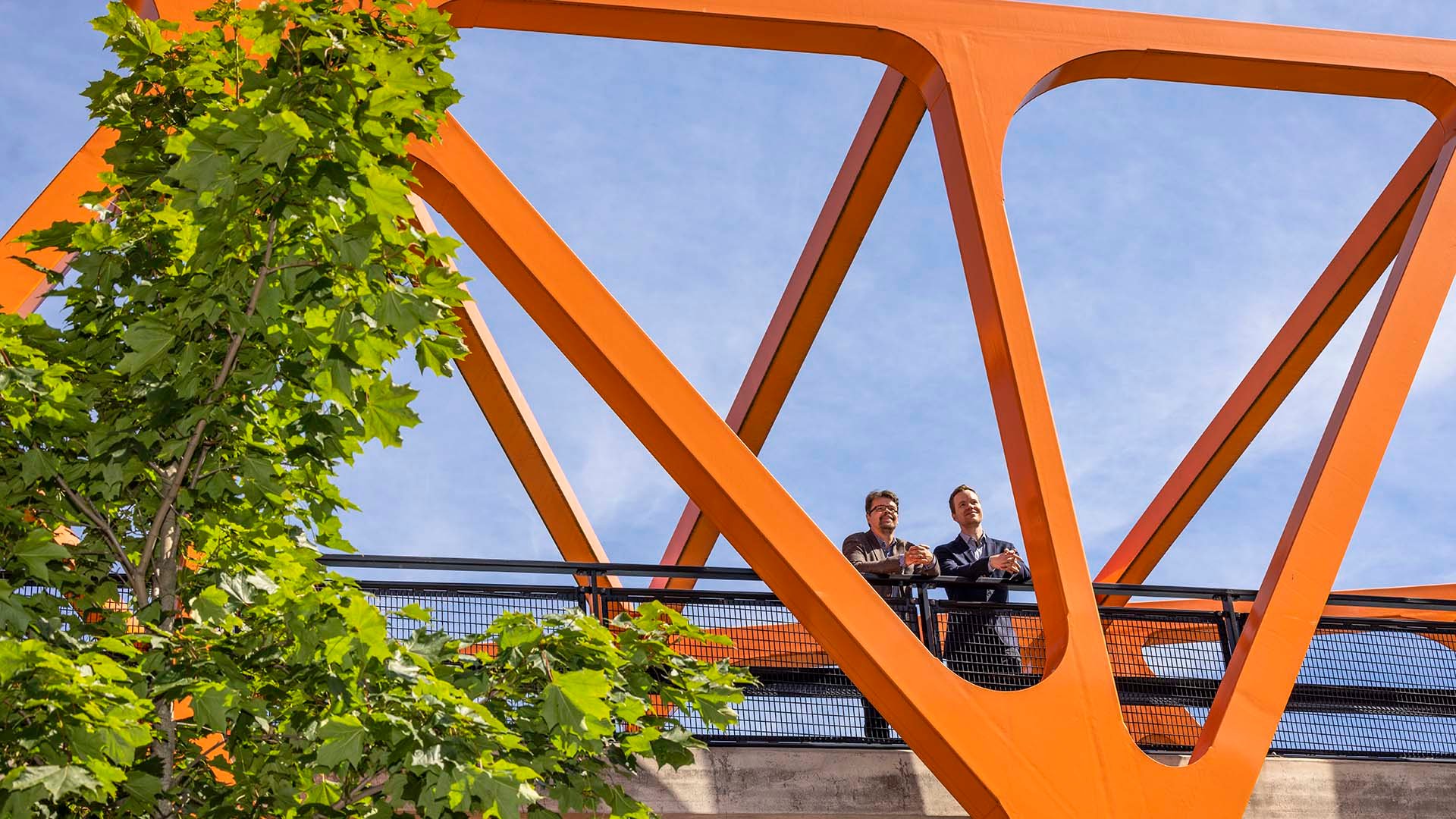 Universum 2025 ammattilaiset kuvituskuva Rokkiporkkana