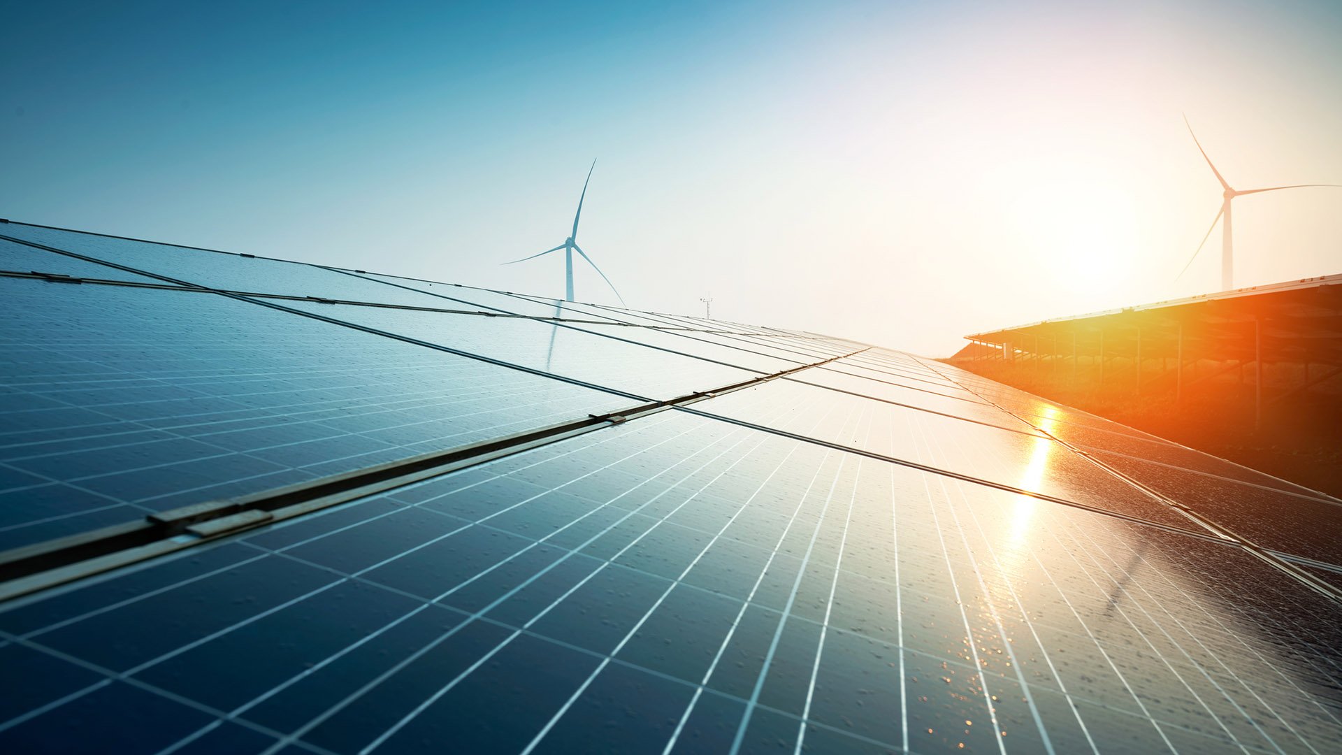 We have in-depth knowledge of renewable energy projects, including solar and wind power, both onshore and offshore.