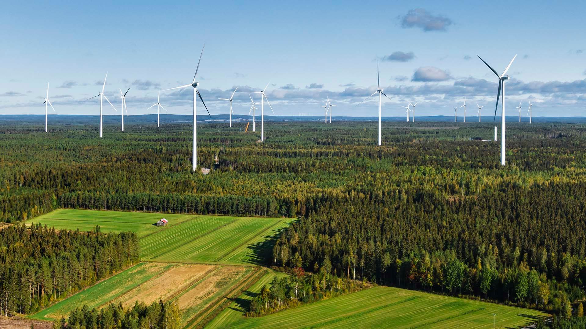 As your environmental impact assessment (EIA) expert, we will assess the environmental impact of your investment project on the project area and its surroundings with the level of detail required by law.