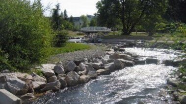 Hydropower plant fishways