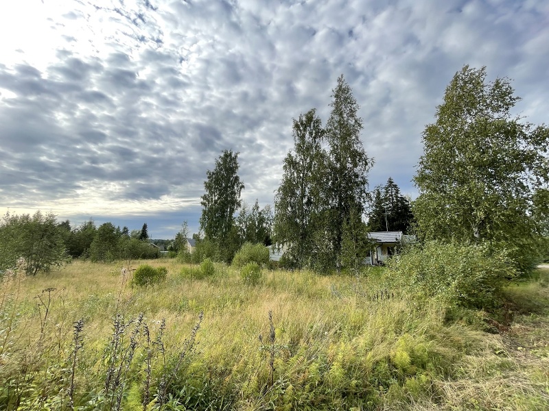 Sasin minitalokorttelit asemakaava, Hämeenkyrö 