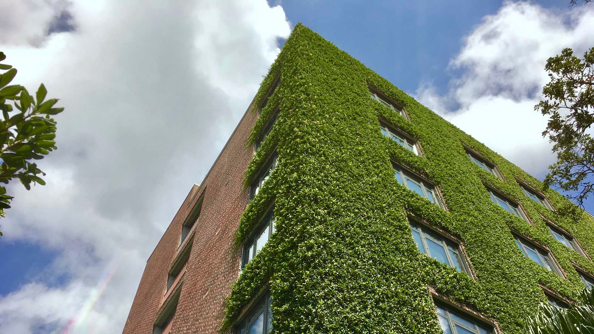 Our EPDs show the environmental impact of your building product from raw material sourcing to the end of its life cycle.