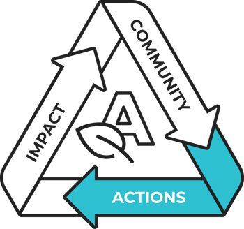 Sustainability programme - our actions