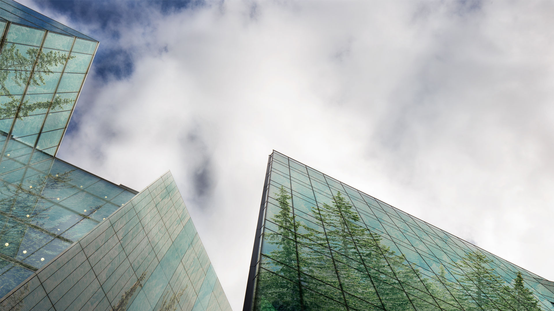 Our low-carbon construction service will help you achieve your project's environmental goals.