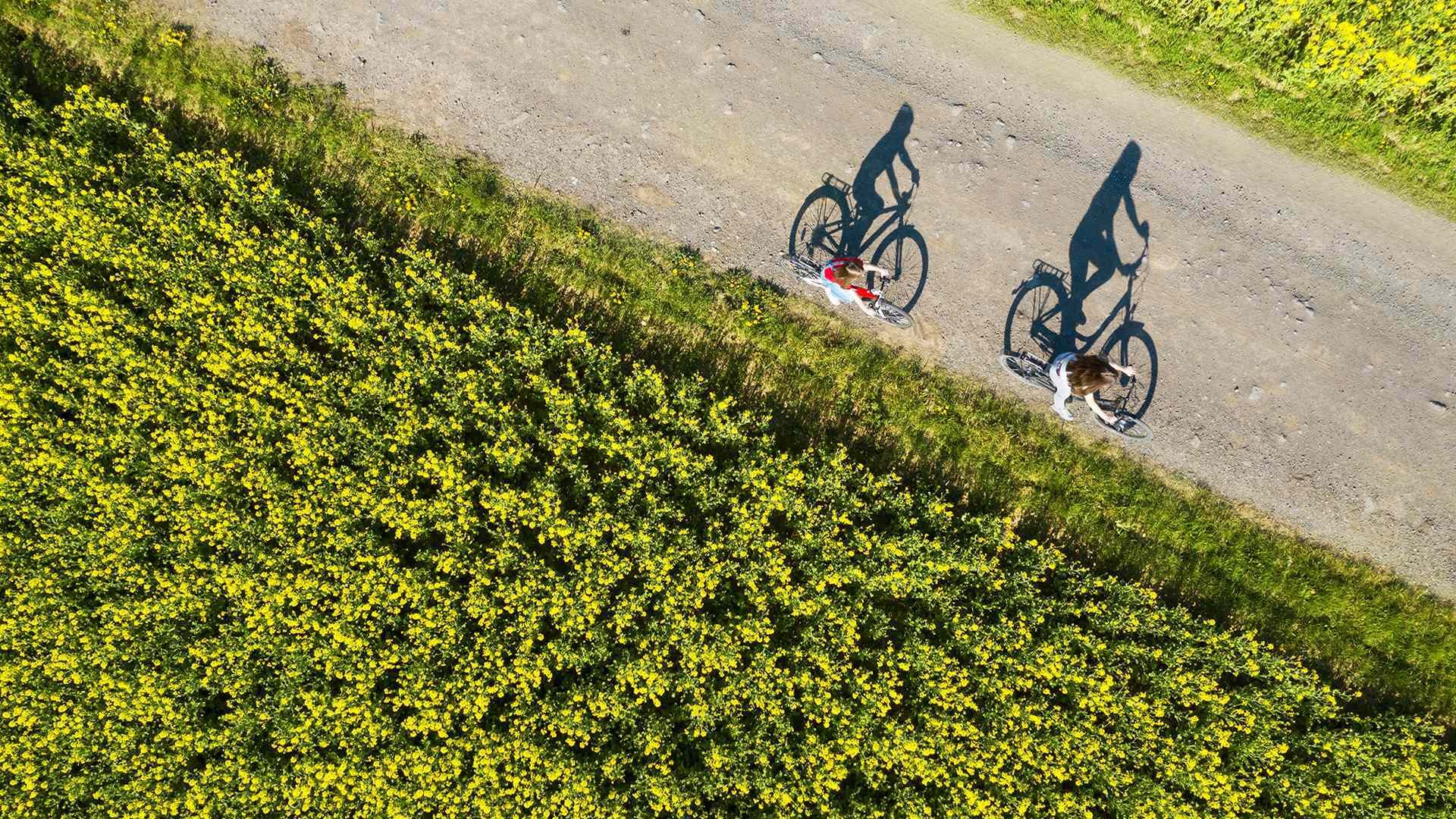 We support biodiversity at every stage of your project, from planning and implementation to maintenance.