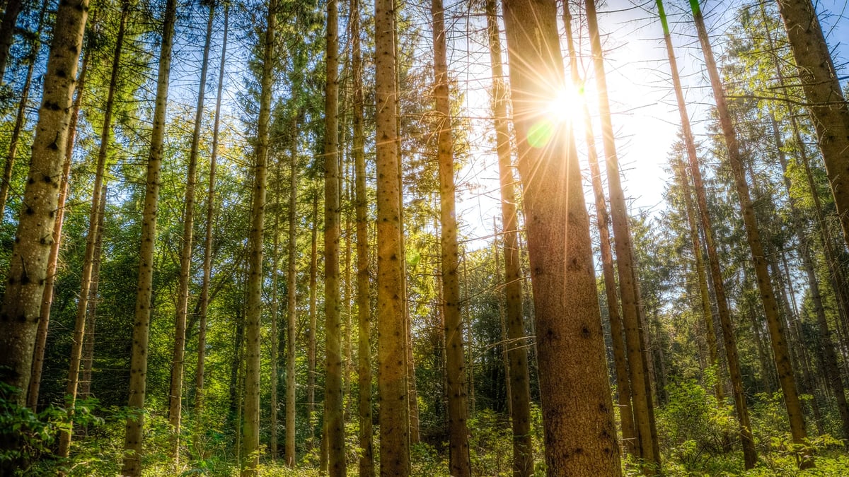 Rakentamislaki tuo EPD:t osaksi rakennusalan arkea