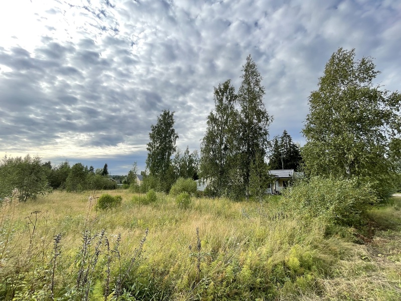 Sasin minitalokorttelit asemakaava, Hämeenkyrö